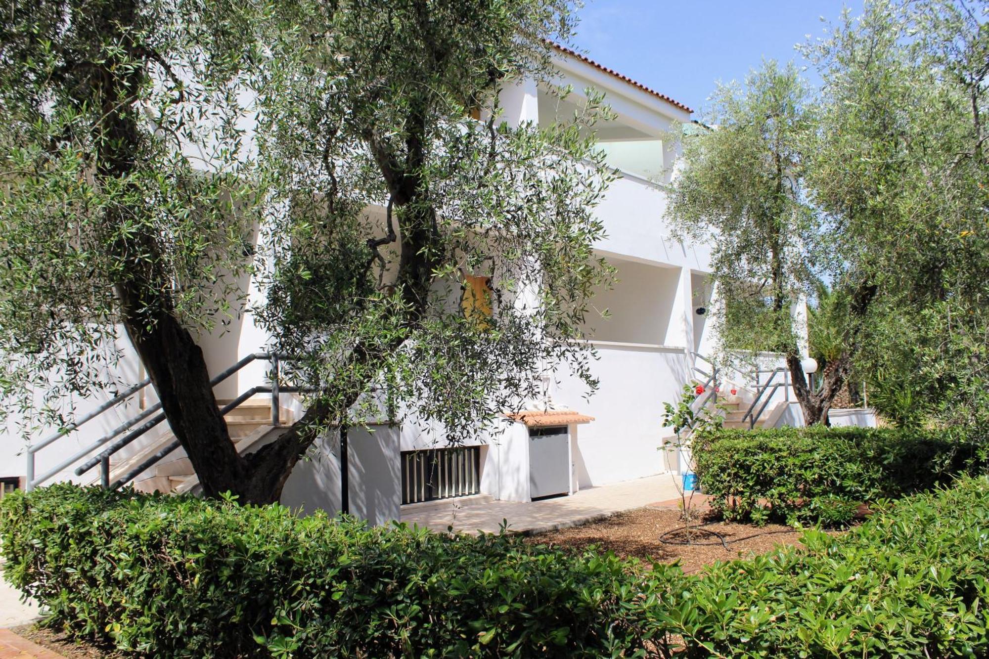 Hotel Palme Gemelle Vieste Buitenkant foto
